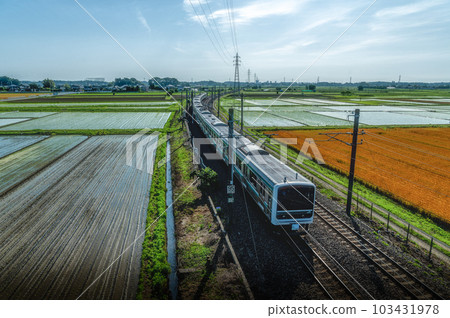 茨城縣水戶市:初夏的稻田和常磐線 茨城縣水戶市:初夏的稻田和常磐線 103431978