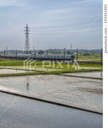 茨城縣水戶市：初夏的稻田和常磐線 103431982