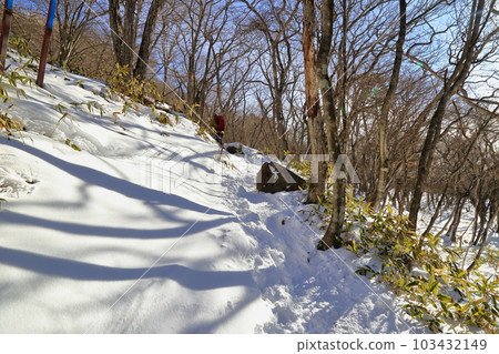 Scenery of Mt. Akagi in severe winter (Mountain trail from Mt. Komagatake starting point / January 2023) Scenery of Mt. Akagi in severe winter (Mountain trail from Mt. Komagatake starting point / January 2023) 103432149