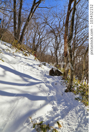Scenery of Mt. Akagi in severe winter (Mountain trail from Mt. Komagatake starting point / January 2023) Scenery of Mt. Akagi in severe winter (Mountain trail from Mt. Komagatake starting point / January 2023) 103432152