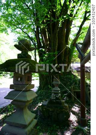 4627 Thousands of wigs at Tenmanten Shrine 4627 Thousands of wigs at Tenmanten Shrine 103432407
