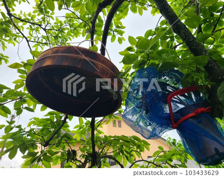 Recycling of waste Japanese honeybee colony trapping machine Excellent effect! Recycling of waste Japanese honeybee colony trapping machine Excellent effect! 103433629