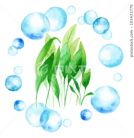 Aquaplants Anubias floating in a circle of analog watercolor polka dots Aquaplants Anubias floating in a circle of analog watercolor polka dots 103433770