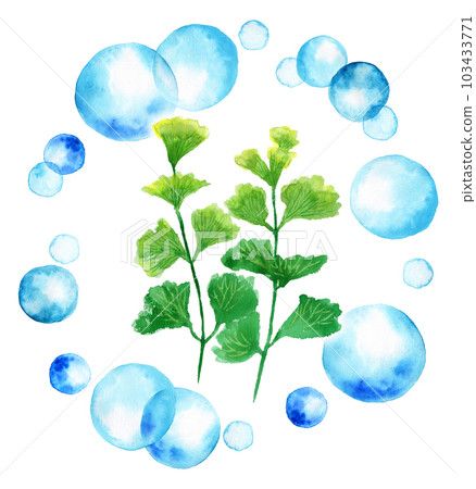 Aqua plants Kabomba floating in a circle of analog watercolor polka dots Aqua plants Kabomba floating in a circle of analog watercolor polka dots 103433771