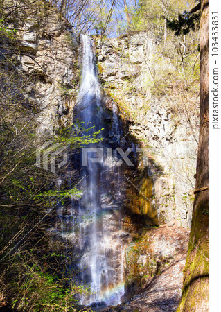 Hirakawa Fudo Falls and rainbow (vertical) 103433831