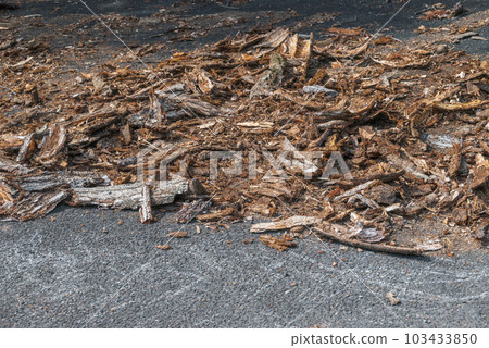 Bark recycling 103433850