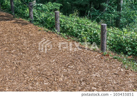 A walking path in the park covered with wood chips 103433851
