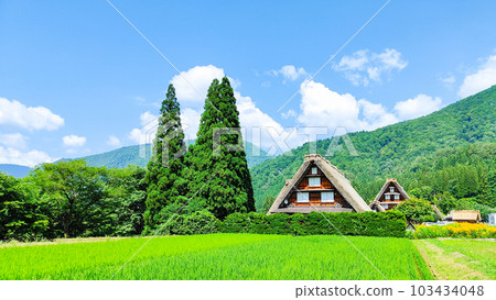 Summer Shirakawa Town Summer Shirakawa Town 103434048