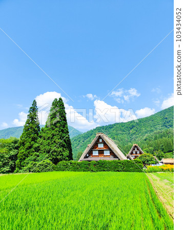 Summer Shirakawa Town Summer Shirakawa Town 103434052
