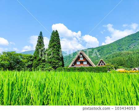 Summer Shirakawa Town Summer Shirakawa Town 103434053