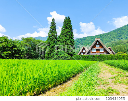 Summer Shirakawa Town Summer Shirakawa Town 103434055