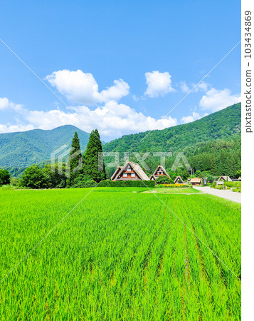 Summer Shirakawa Town Summer Shirakawa Town 103434869