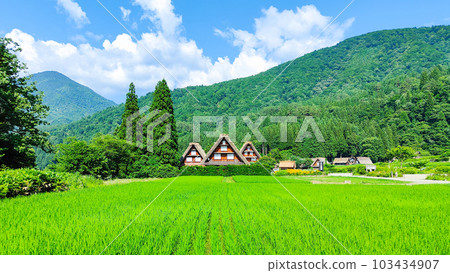 Summer Shirakawa Town 103434907