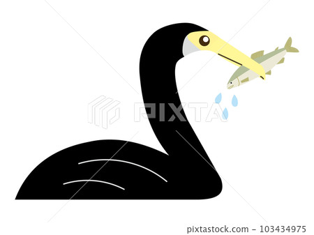 Cormorant holding sweetfish 103434975