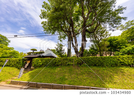 Sakura samurai residence street 103434980