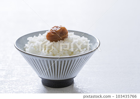 梅干飯 103435766