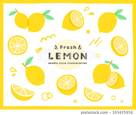Handwritten style lemon simple illustration set fruit fruit citrus summer fruit vitamin lemon juice cross section 103435858