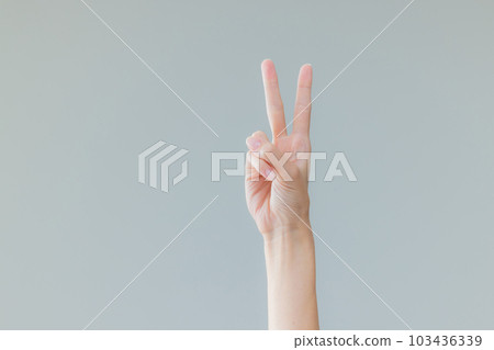 女手 女手 103436339