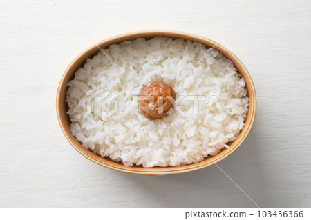 Magewappa 塞米飯 Magewappa 塞米飯 103436366