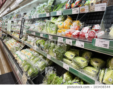 Supermarket          103436544