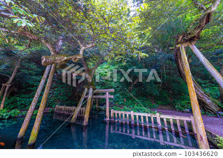 Kashima Shrine Mitarai Pond 103436620