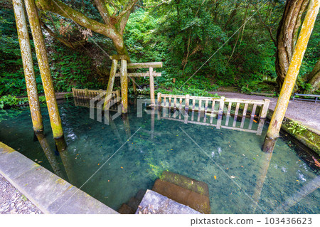 Kashima Shrine Mitarai Pond Kashima Shrine Mitarai Pond 103436623