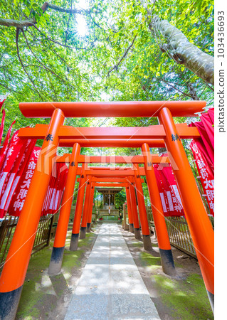 Kashima Shrine Inari Shrine 103436693