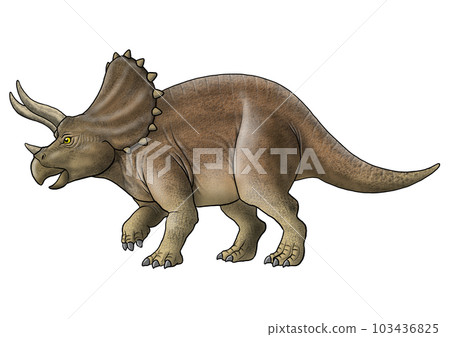 triceratops image 103436825