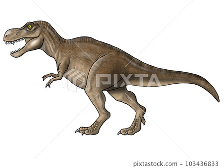 霸王龍圖片 霸王龍圖片 103436833