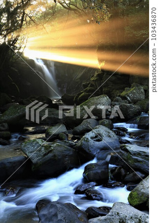 Rays of light illuminating Meoto Iwao Falls 103436870