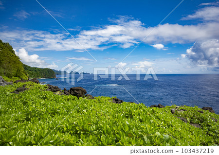 從圖拉角看到的美屬薩摩亞海景 從圖拉角看到的美屬薩摩亞海景 103437219
