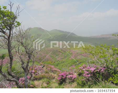 Aso Kusasenri 攀登霧島 Miyamakirishima 山頂 從山頂眺望絕景 103437354