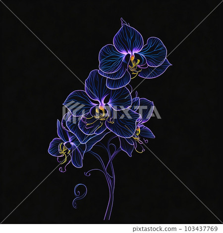drawing ordhid flower drawing ordhid flower 103437769