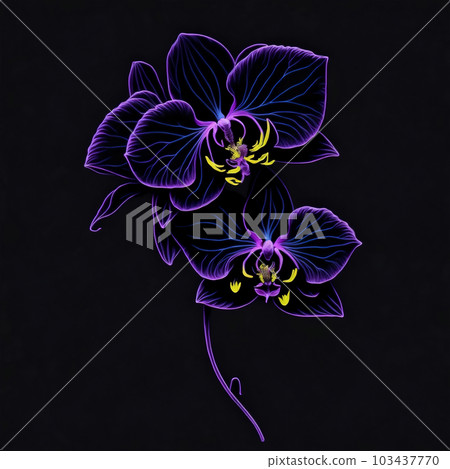 drawing ordhid flower drawing ordhid flower 103437770