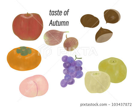 Autumn taste 103437872