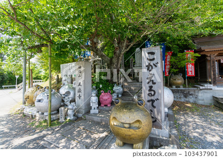 《福岡縣》Kogaeru Temple Shingon Buddhist Omuro school Ruriyama Shoboji 103437901