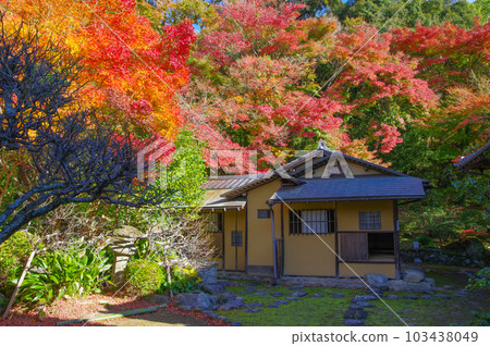 福岡縣北九州市福住寺福住寺院內茶室 福岡縣北九州市福住寺福住寺院內茶室 103438049