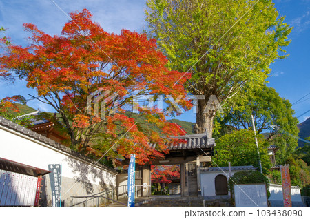 福岡縣北九州市奧巴庫宗廟福壽寺秋葉與海報 福岡縣北九州市奧巴庫宗廟福壽寺秋葉與海報 103438090