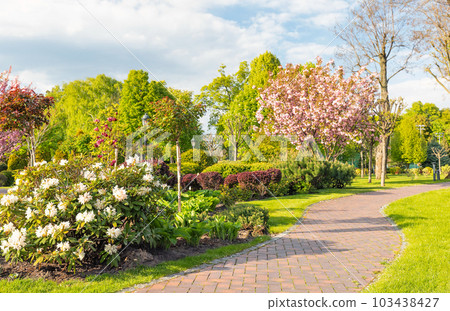 A paved walkway in a blooming garden on a warm spring day. A paved walkway in a blooming garden on a warm spring day. 103438427