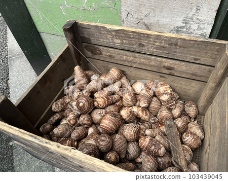 Shrimp potato Shrimp potato 103439045