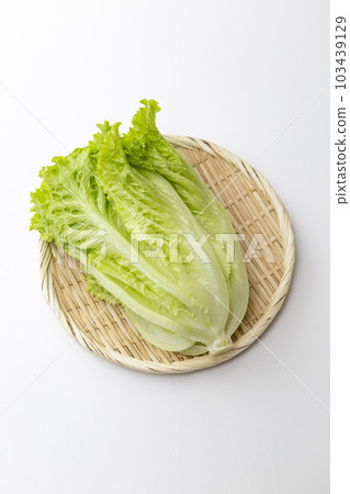 在籃子白色背景的生菜 在籃子白色背景的生菜 103439129