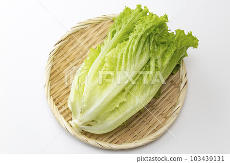 在籃子白色背景的生菜 在籃子白色背景的生菜 103439131