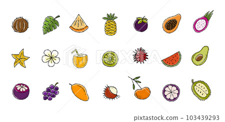 Tropical fruits collection. 21 icons isolated on white. Vector illustration 103439293