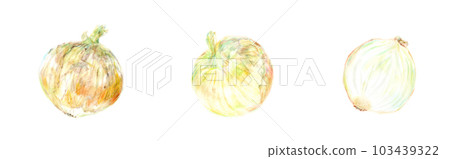 Onion hand-painted 3 types Onion hand-painted 3 types 103439322