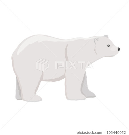 Adult polar bear. Vector flat cartoon illustration isolated on white background. The North animal. Adult polar bear. Vector flat cartoon illustration isolated on white background. The North animal. 103440052