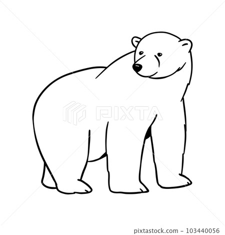 White polar bear line sketch. Outline vector illustration of forest animal. 103440056