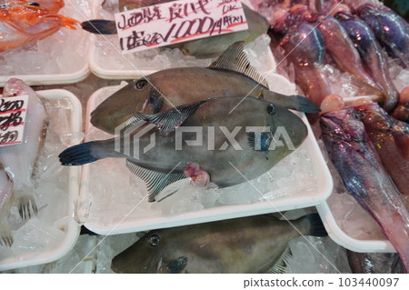 "Fish Market (Filefish)" "Fish Market (Filefish)" 103440097