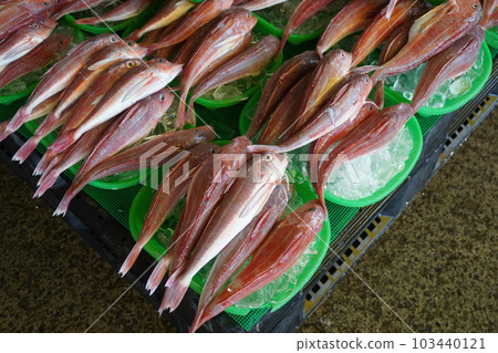 《魚市（人）》 103440121