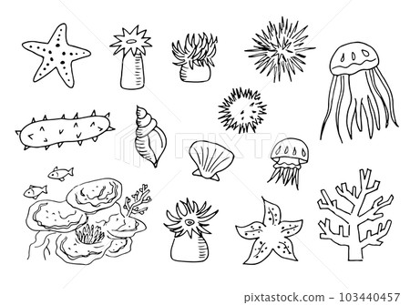 圖集的海洋生物 103440457