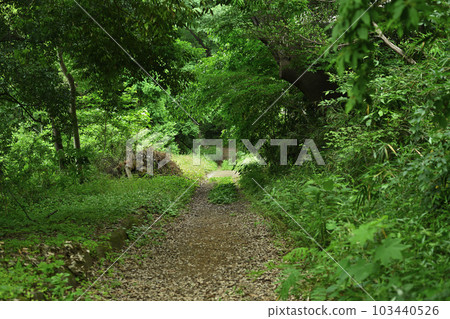 町田市鎌倉古道、上野道(鎌倉公路) 町田市鎌倉古道、上野道(鎌倉公路) 103440526